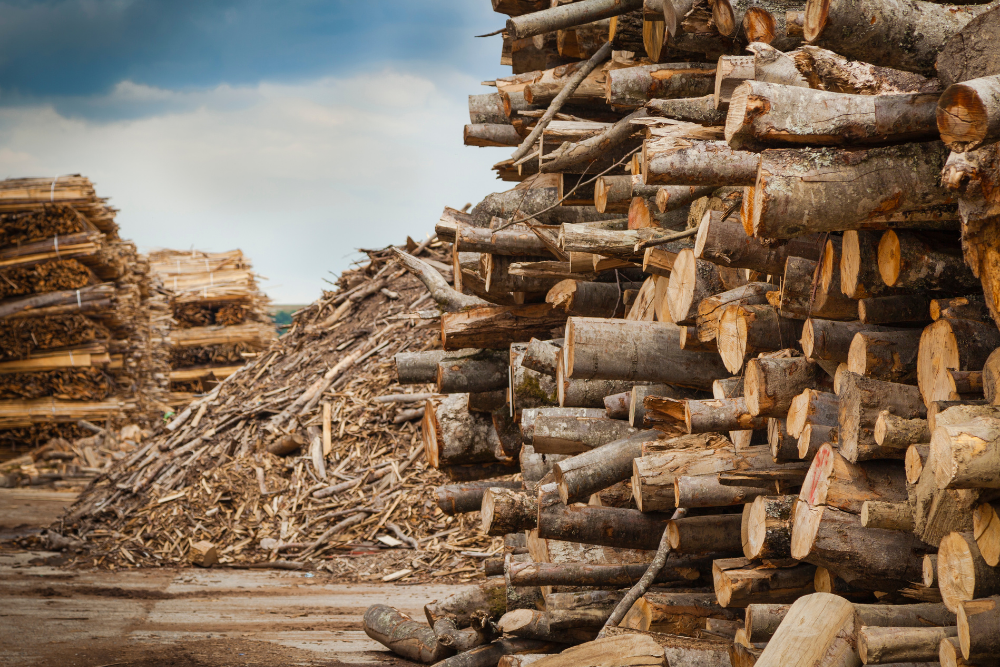 Timber Industry