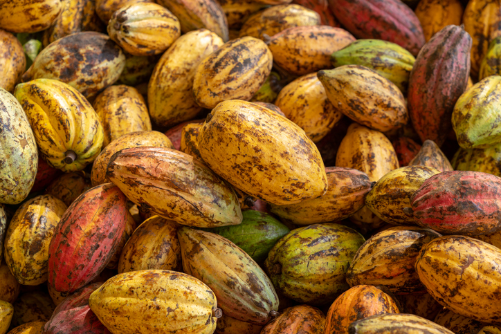 Cocoa’s Traceability Mission