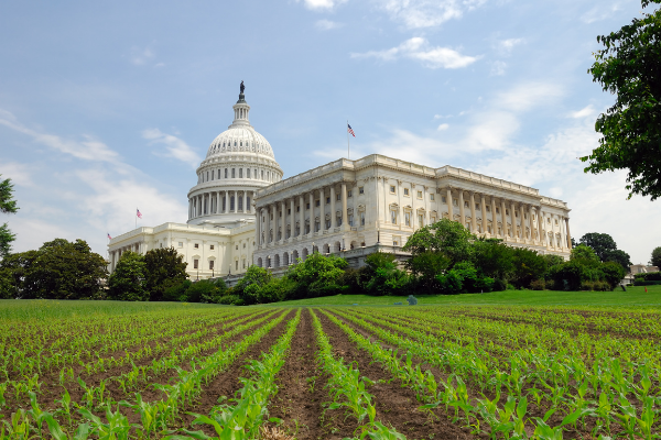 📃 Farm Bill Frenzy Begins