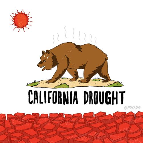‘Drought’ Doesn’t Cover It Anymore