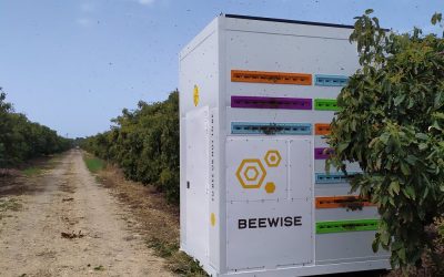 The Buzz Around Beewise