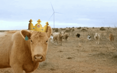Burger King of Cattle and Climate