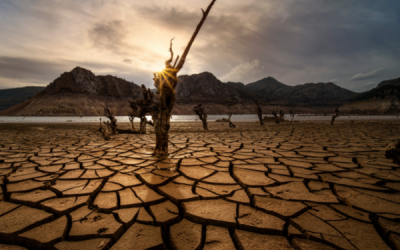 California Drought Drags, Water Dwindles