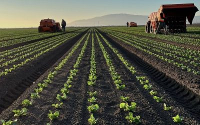 Wiser Weed Management