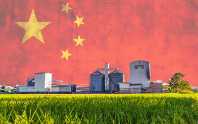 🌽 China ‘Invades’ the Heartland?