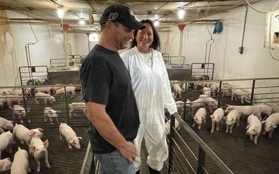 Pig Prediction and Fertility Funding