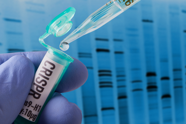 🐽 CRISPR Breakthrough on ASF Genes