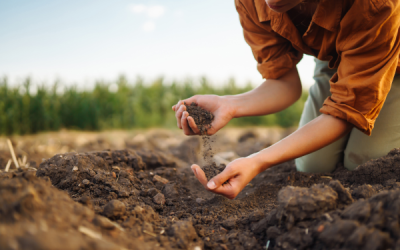 Soil Data Gets Series B Funding