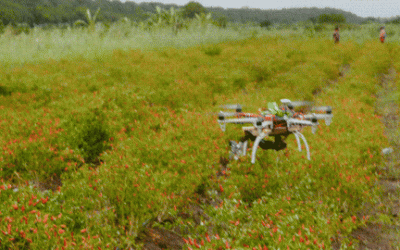 Propelling to New Heights: The Chinese Drone Debacle